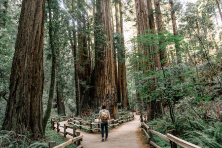 Life choices: how do you choose your path? - Esoteric Science - Scientific Occultism